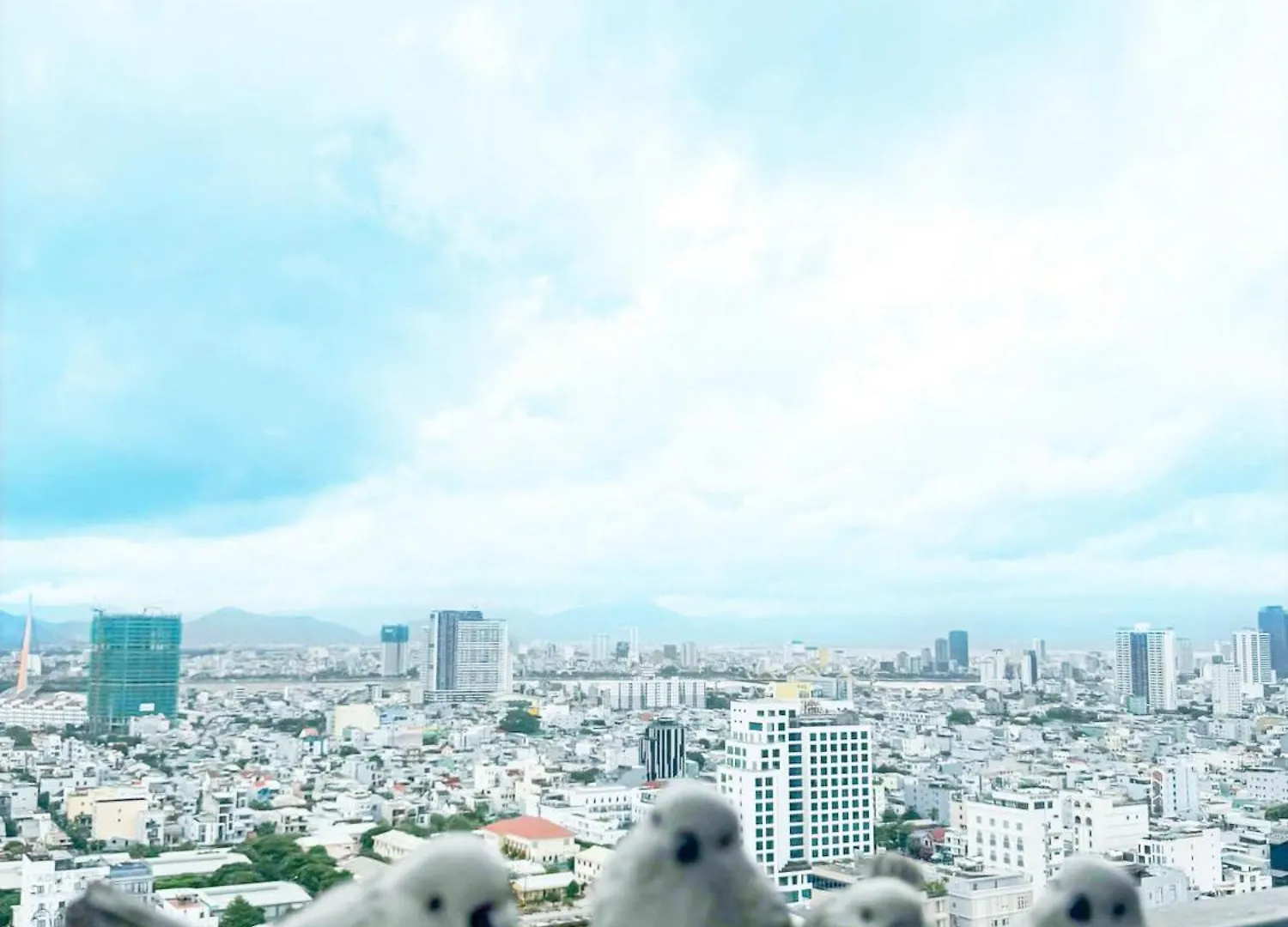 Kim Ngan Phat Luxury Villa Da Nang Aparthotel